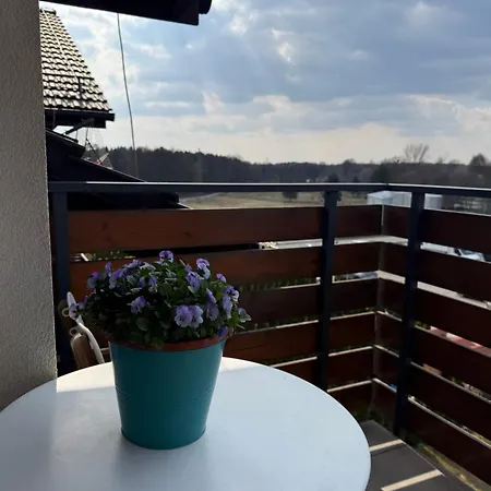 Ecopure Pod Lasem Tychy