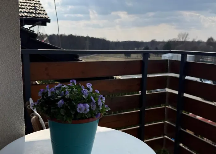 Ecopure Pod Lasem Tychy