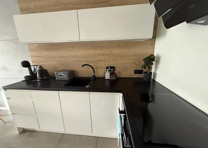 Ecopure Pod Lasem Tychy